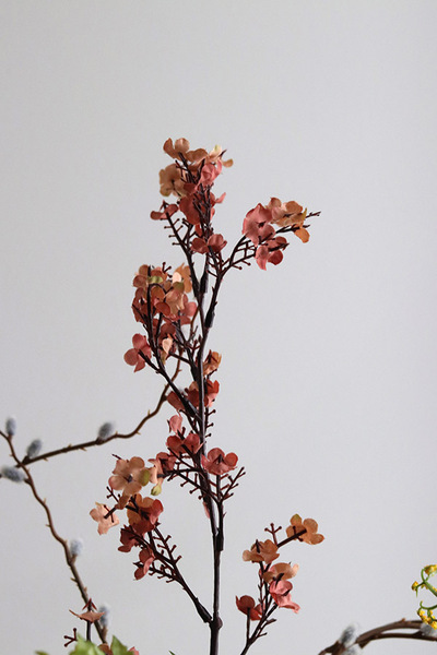 Haru Gold Laos, stroik wiosenny z kurą