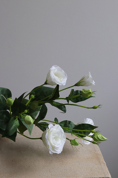 Eustoma White, gałązka sztucznej eustomy, 1szt. dł.75cm