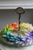 Tęczowy Susz Boho, stroik wielkanocny na paterze