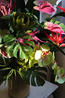 Schiele Premium Red, strelicja kompozycja w złotej donicy	