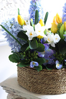 Hiacynty & Bratki Basket, wiosenna dekoracja w koszu