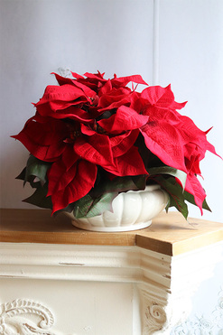 Gwiazda Betlejemska White Deco, wysokiej jakości sztuczna roślina, wym.43x45cm