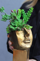 Suculentas Espana 2, sukulenty w głowie kompozycja