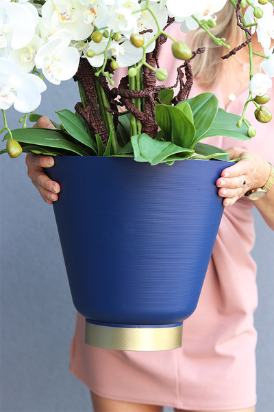 Niebieska Flotylla, elegancki sztuczny storczyk