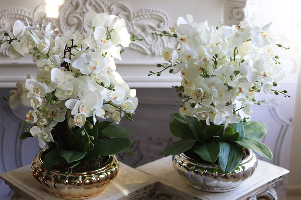 Carrington Silver, elegancki sztuczny storczyk, wys.52cm