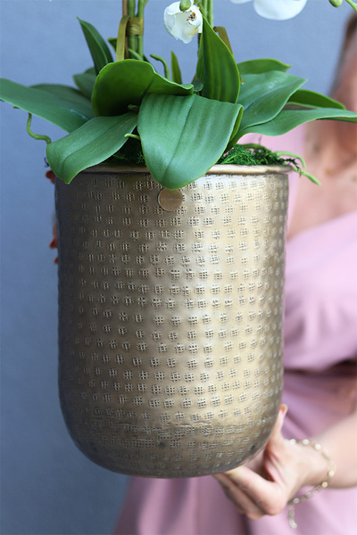 Złota Kraina Lux, storczyk w złotej metalowej osłonce