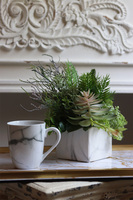 Marble i Odetta - do kupienia w tendom