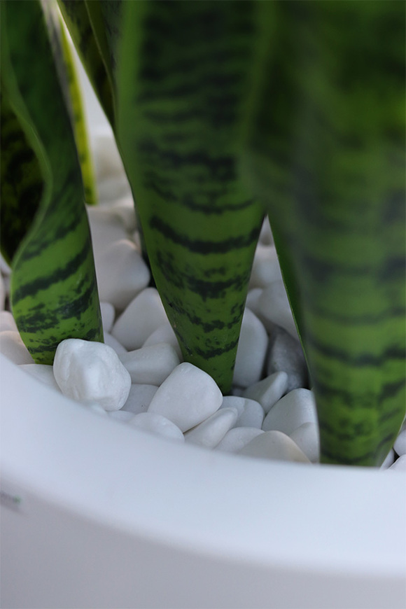 Sansewieria Della 3, roślina sztuczna w donicy