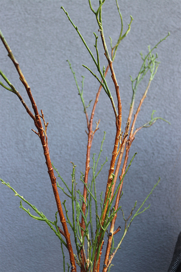 Wiosennie, bukiet gałązek do wazonu