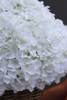 White Provance XL, bogaty kosz z hortensjami, wys.59cm