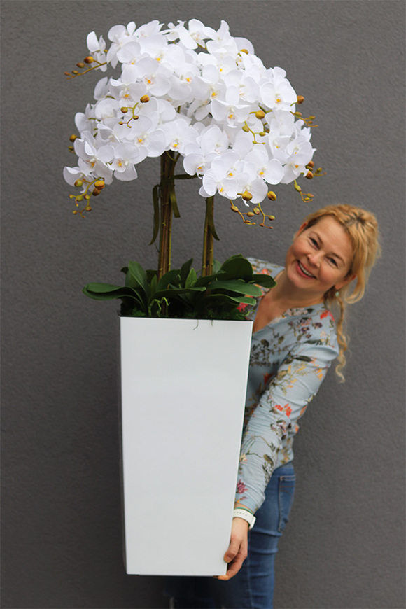 bogaty storczyk podłogowy w białej donicy, Mediolan White, wys.120cm  