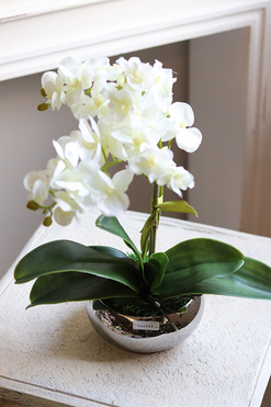 Mini Piano, sztuczny storczyk w lustrzanej donicy, wys.36cm