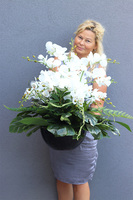 Biała Orchidea, kompozycja nagrobna w misie