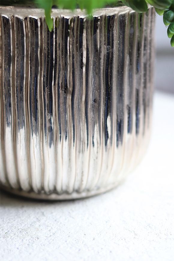 Medula, kompozycja z sukulentów w złotej doniczce