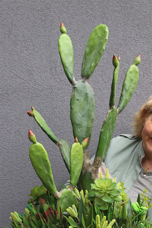 Desideria Cacti 3 Fiberglass, sukulenty z kaktusem w białej donicy