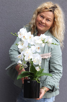 Figaro Black, sztuczny storczyk w czarnej donicy