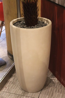 Cykas Ibis Concrete, sztuczna roślina w betonowej donicy