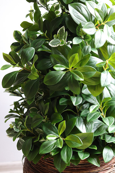 New Green Natural, drzewko sztuczne kolumnowe w donicy