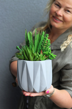 OD RĘKI Delona Moderno, dekoracja sukulenty w szarej donicy, wys.26cm