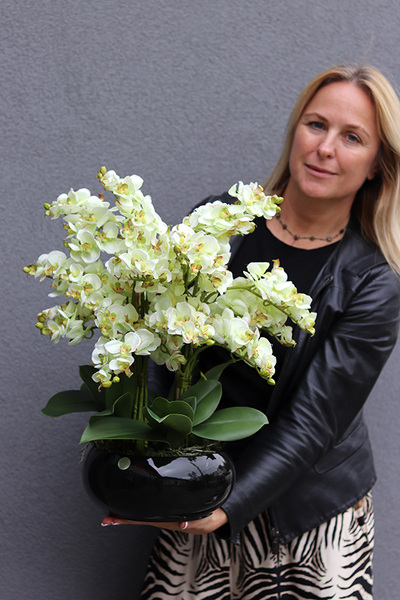 Pistacjowy, wysokiej jakości barwny sztuczny storczyk, wym.50cm