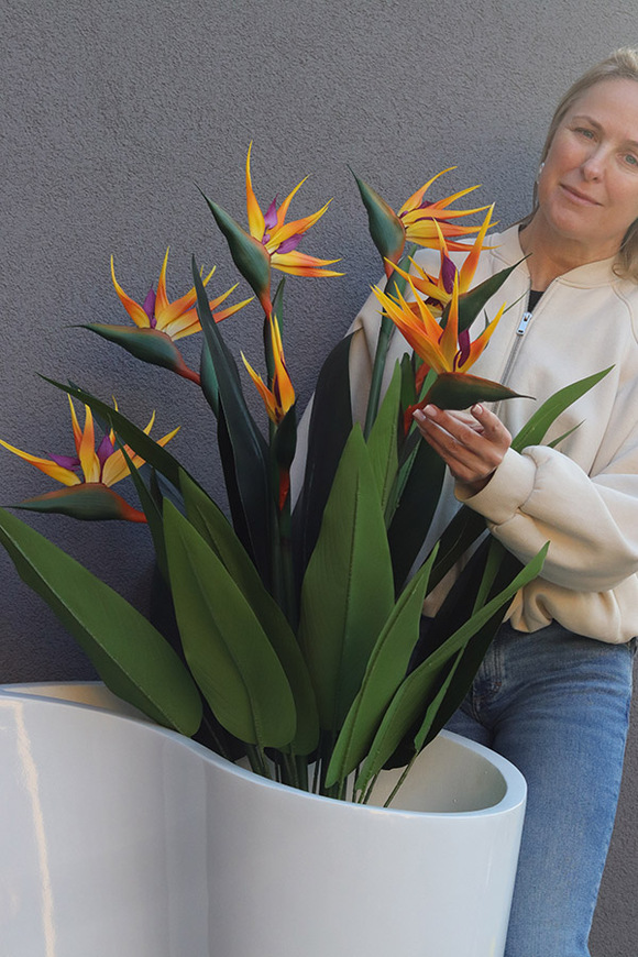 Strelicja Crayola, egzotyczna kompozycja w donicy fiberglass