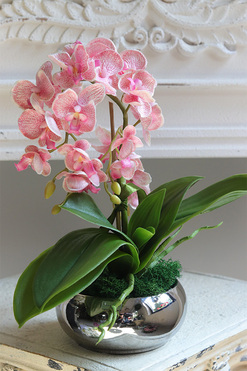 Mini Piano Silver Pink, sztuczny storczyk w lustrzanej donicy, wys.32cm