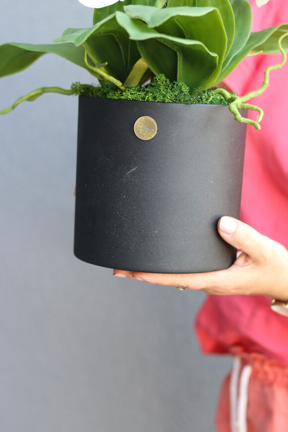 Nera Simple, sztuczny storczyk w ozdobnej donicy