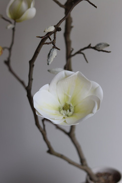 Magnolia Vase, kwiaty w wazonie, wys.83cm