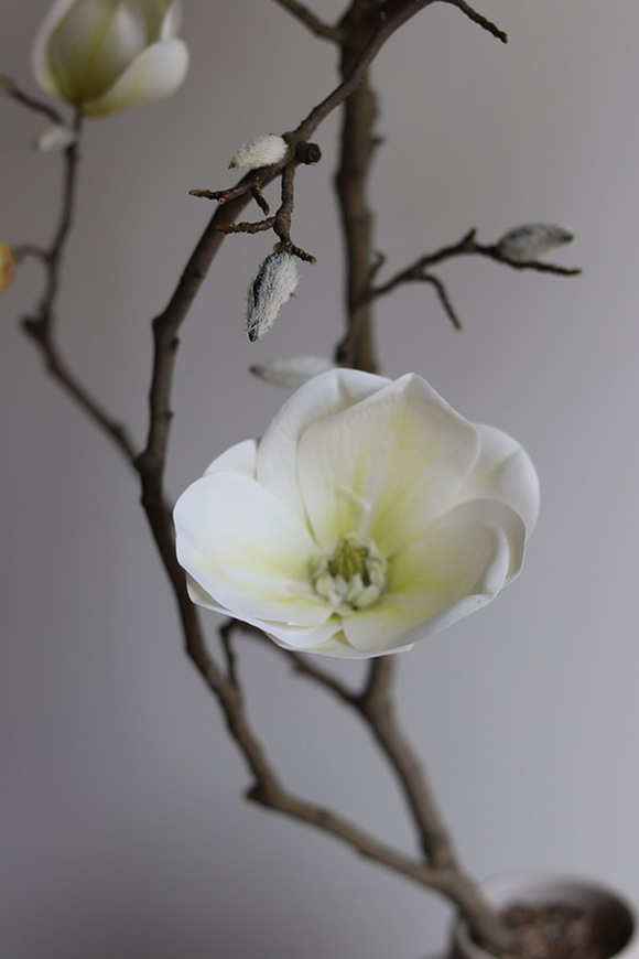 Magnolia Vase, kwiaty w wazonie