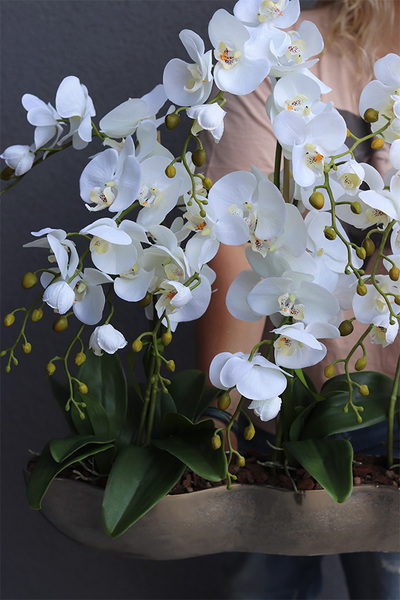 Snake Modern L, sztuczny storczyk w srebrnej donicy, wys.64cm