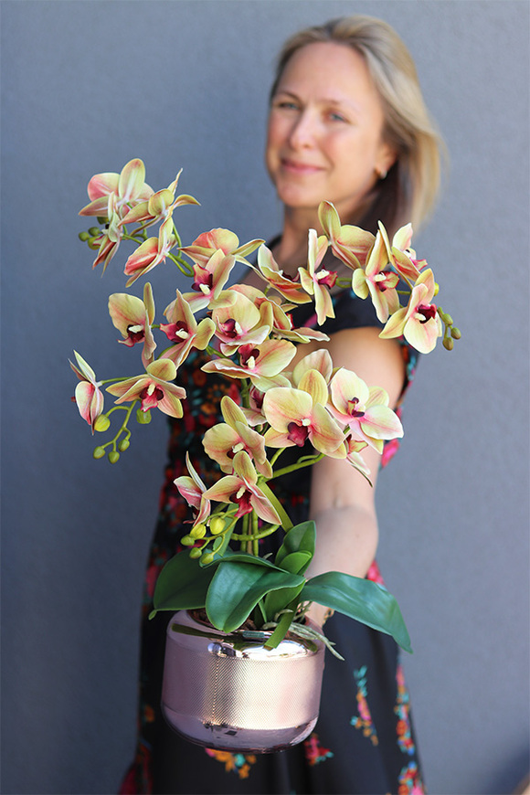 Nerita Vilesta, gumowy storczyk w szklanym naczyniu, wys.55cm