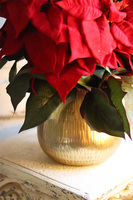 Gwiazda Betlejemska Goldena, wysokiej jakości sztuczna roślina, wym.45x40cm, dostępna jedna sztuka