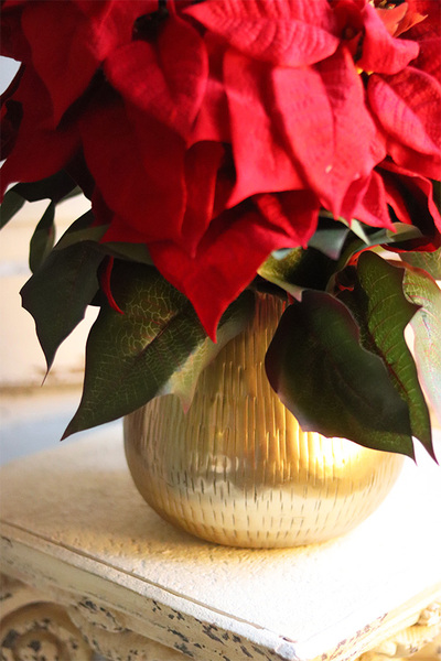 Gwiazda Betlejemska Goldena, wysokiej jakości sztuczna roślina, wym.45x40cm, dostępna jedna sztuka