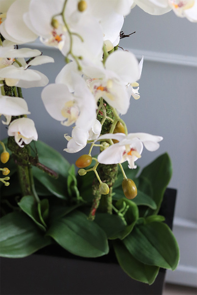 duży storczyk Marco Black Fiberglass, wys.110cm 