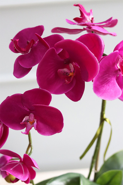 Polly Fuksja, sztuczny storczyk w białej donicy, wys.49cm