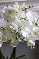 Black Panter, sztuczny storczyk w prostokątnej donicy