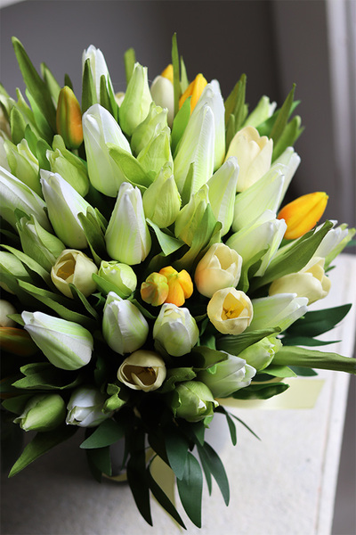 Tulipinia, wiosenna kompozycja kwiatowa