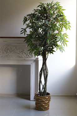 Klon Japoński Domingo, sztuczna roślina w złotej donicy, wys.165cm