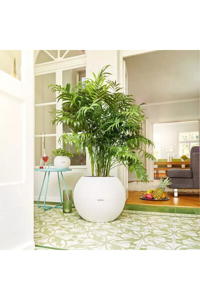 Puro, elegancka donica z nawadnianiem	