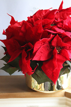 Gwiazda Betlejemska Goldieta, wysokiej jakości sztuczna roślina, wym.40x49cm