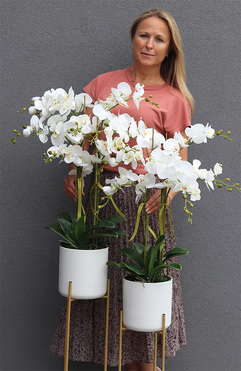 storczyki Duo Biella, kpl.2szt., wys.126/136cm  