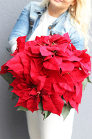 Gwiazda Betlejemska Gold Deco, wysokiej jakości sztuczna roślina