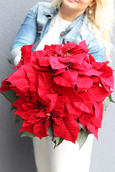 Gwiazda Betlejemska Gold Deco, wysokiej jakości sztuczna roślina