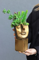 Suculentas Espana 2, sukulenty w głowie kompozycja