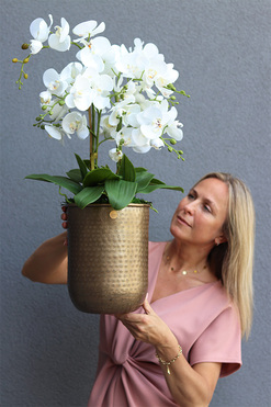 Złota Kraina Lux, storczyk w złotej metalowej osłonce, wys.74cm