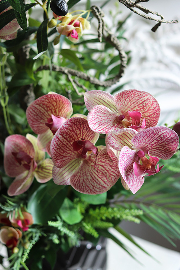 Lucille Gerano Granada Black, kompozycja ze storczykiem w wazonie