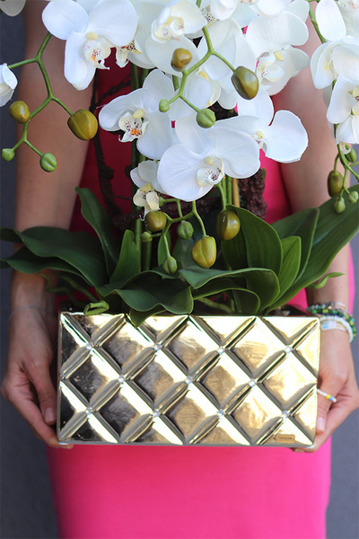 Diamenti Gold, storczyk w złotej donicy wysadzanej kryształami