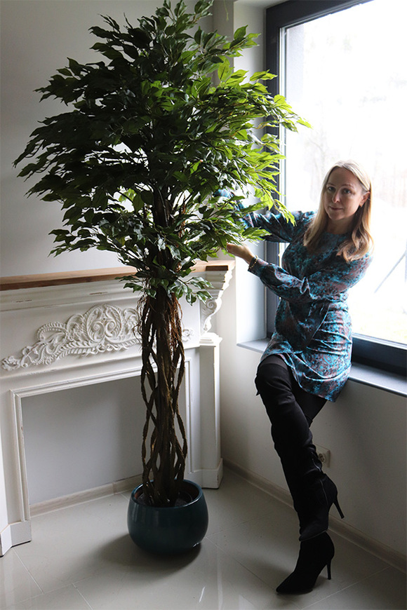 fikus Benjamin, sztuczne drzewko, wys.200cm