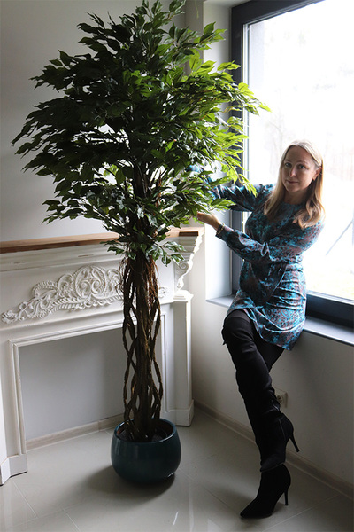 fikus Benjamin, sztuczne drzewko, wys.200cm