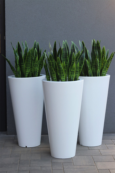 Sansewieria Della 3, roślina sztuczna w donicy